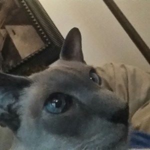 Meet your Posher, Bobby